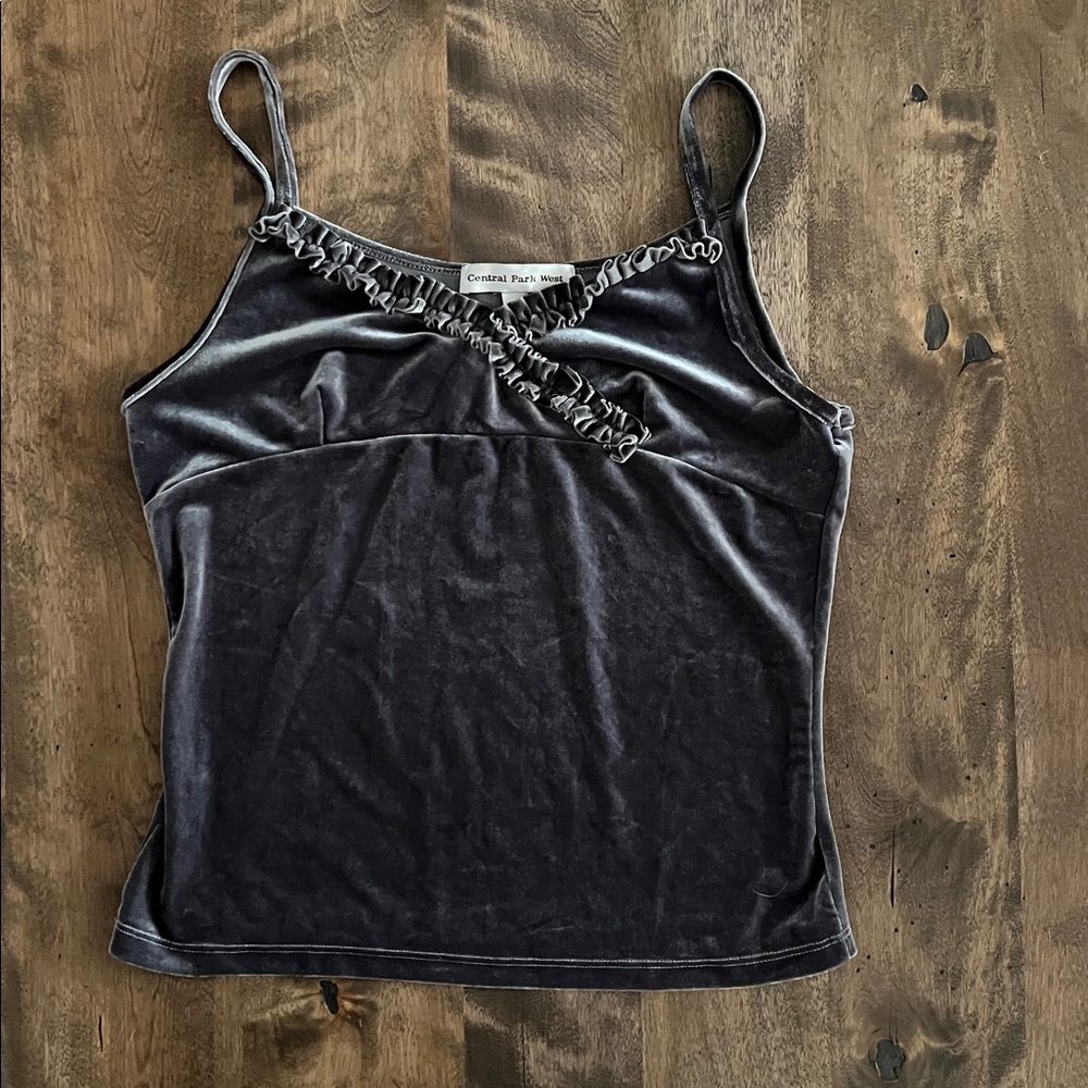 Central Park West Silver Gray Velvet Blouse